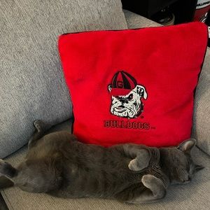 Meet your Posher, Lilly